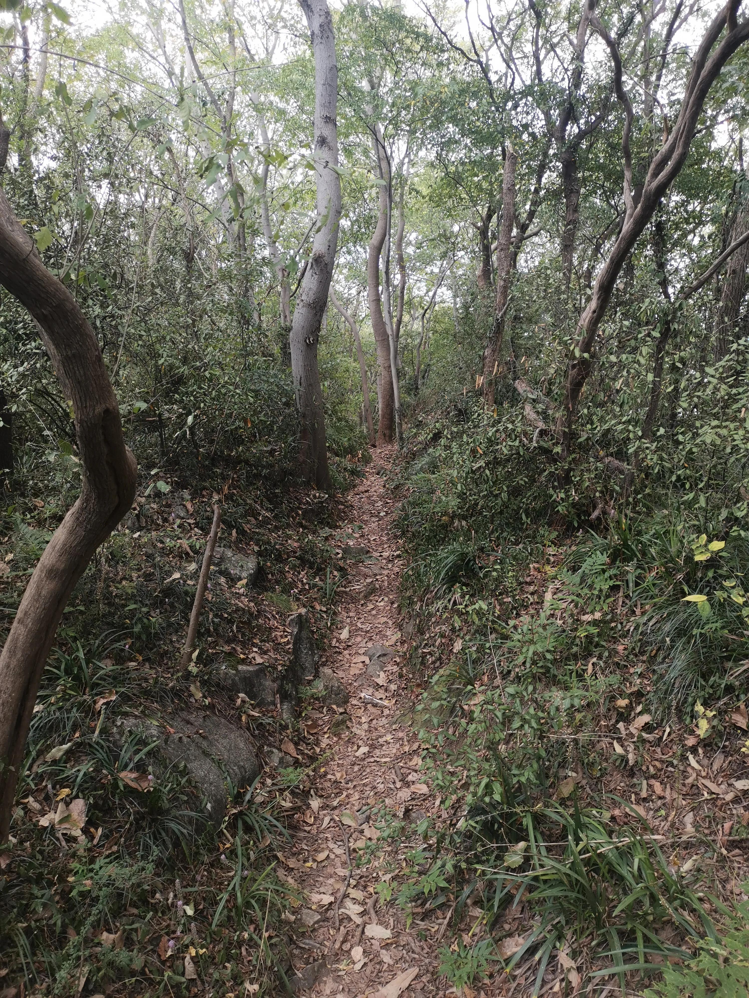 南京出发到镇江一日游跟团多少钱,南京去镇江旅行攻略路线