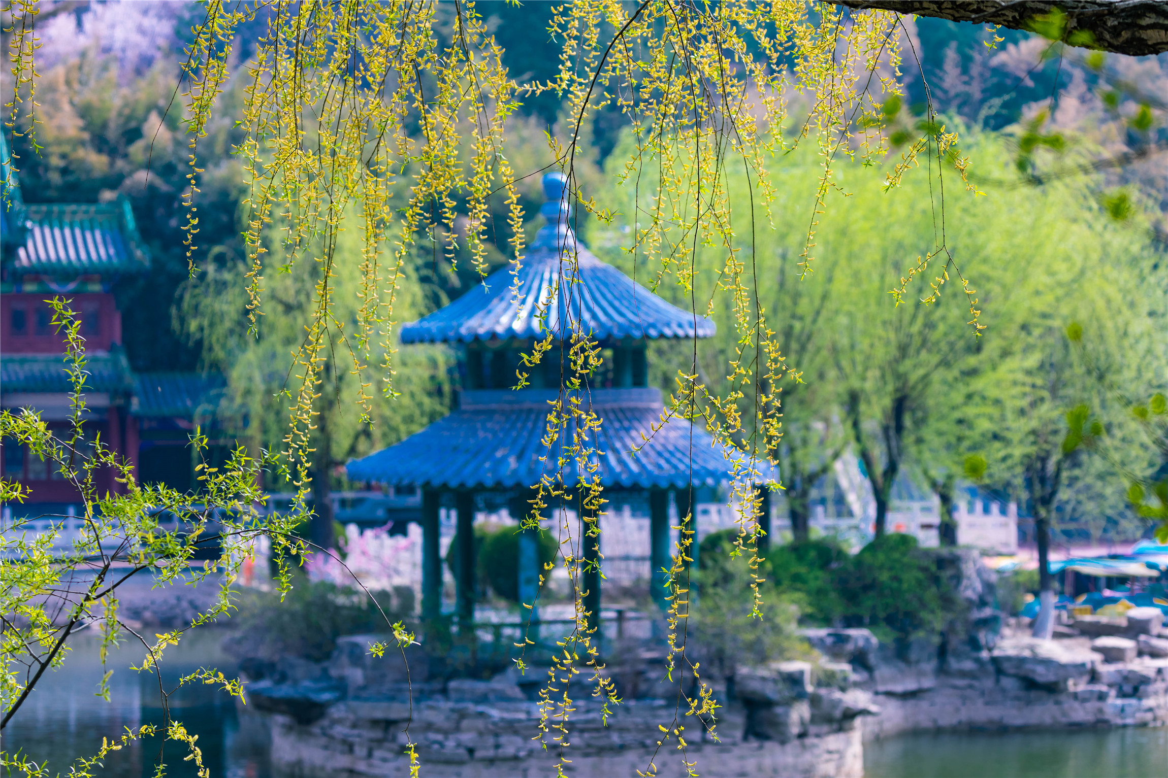 济南红叶谷门票团购9.9元,济南红叶谷优惠活动