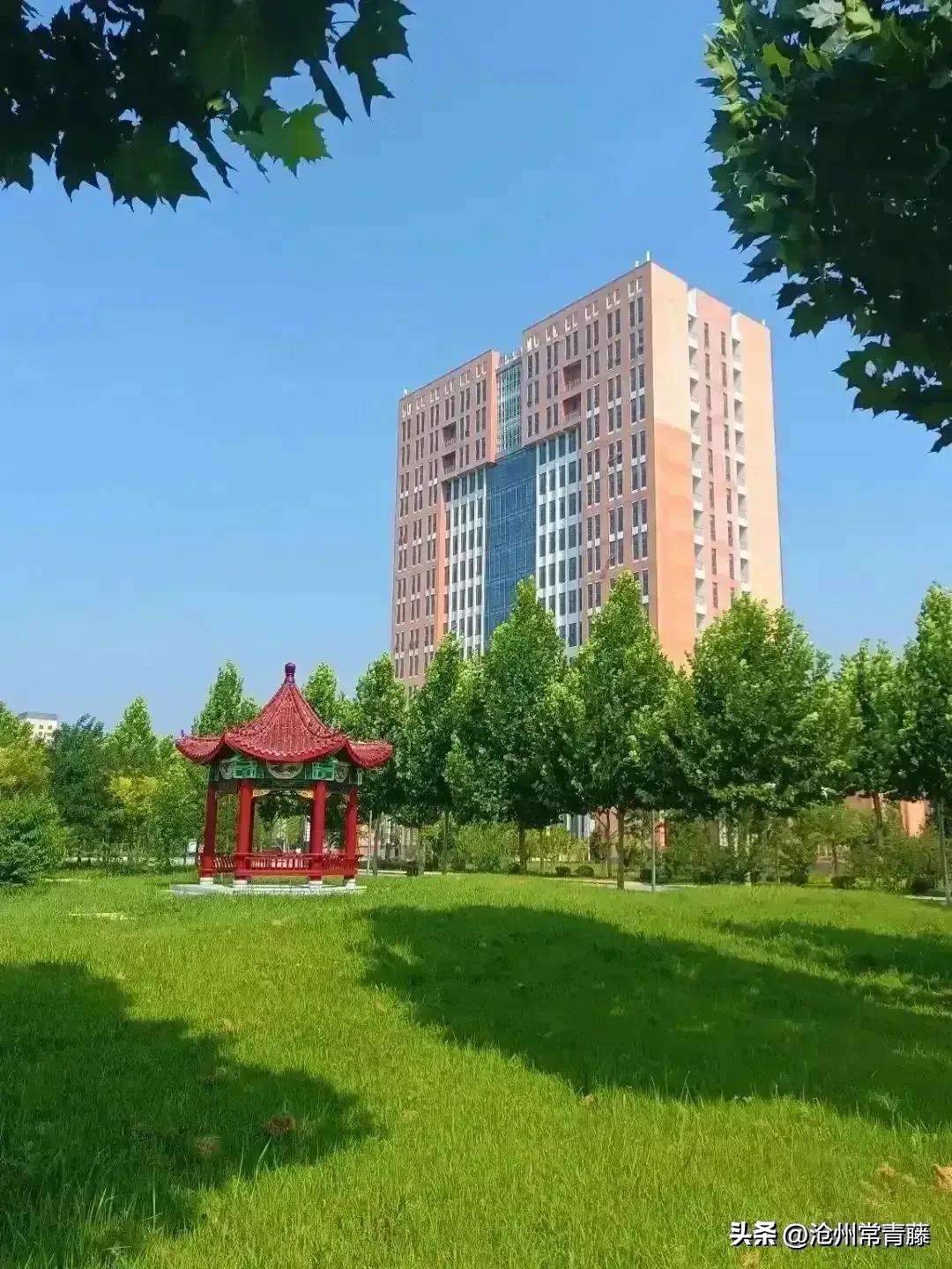 「名校介绍」沧州一中：高一教师新团队，凝心聚力再出发