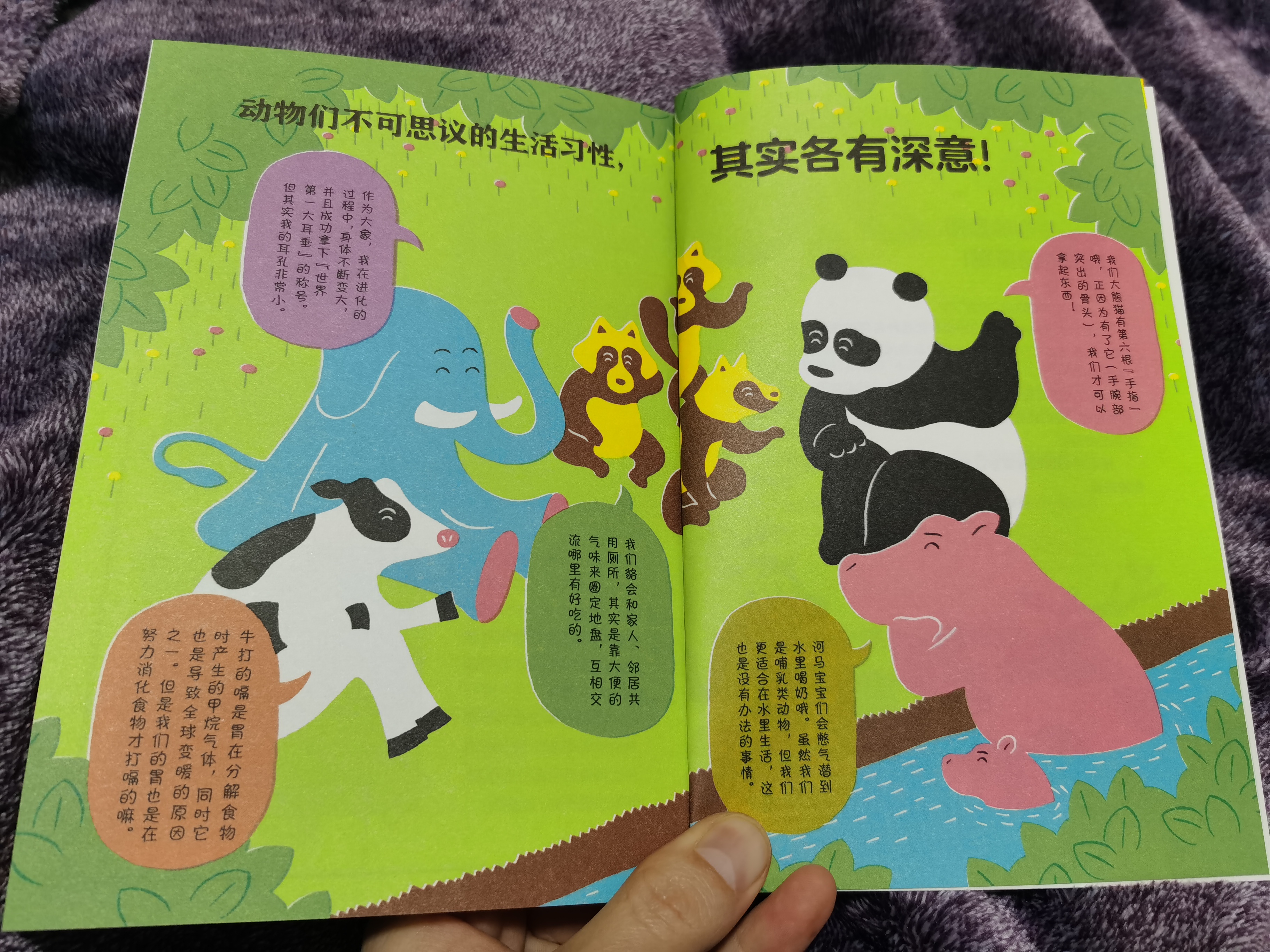 熊猫有几条腿是四条还是两条,你知道熊猫有几根脊椎骨吗