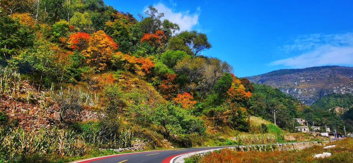 武安市2024年政府怎么发展,为什么武安市要向西发展