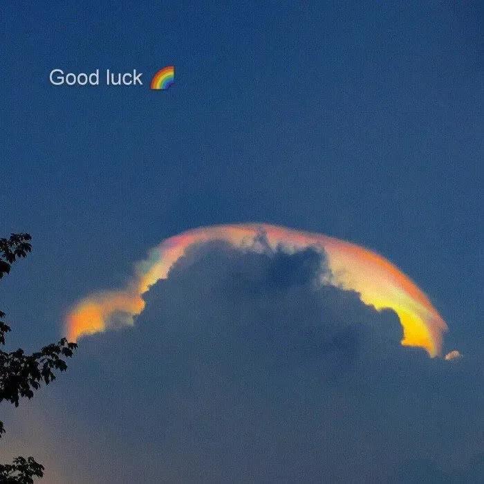 背景图优雅生活,生活随意的背景图高级感