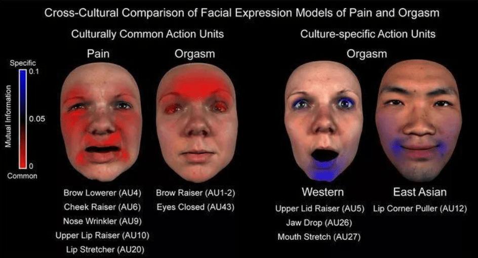 宝马冰淇淋歧视事件,宝马mini歧视事件即兴评述