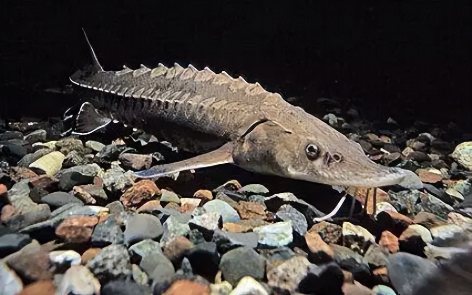 历史上的今天3.27,历史上的今天4月27号