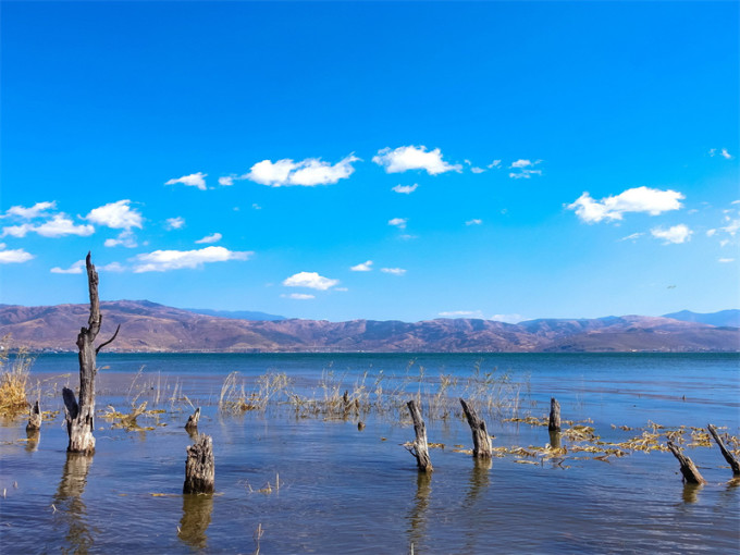 网上报团云南旅游避坑,云南旅游避坑景点有哪些地方
