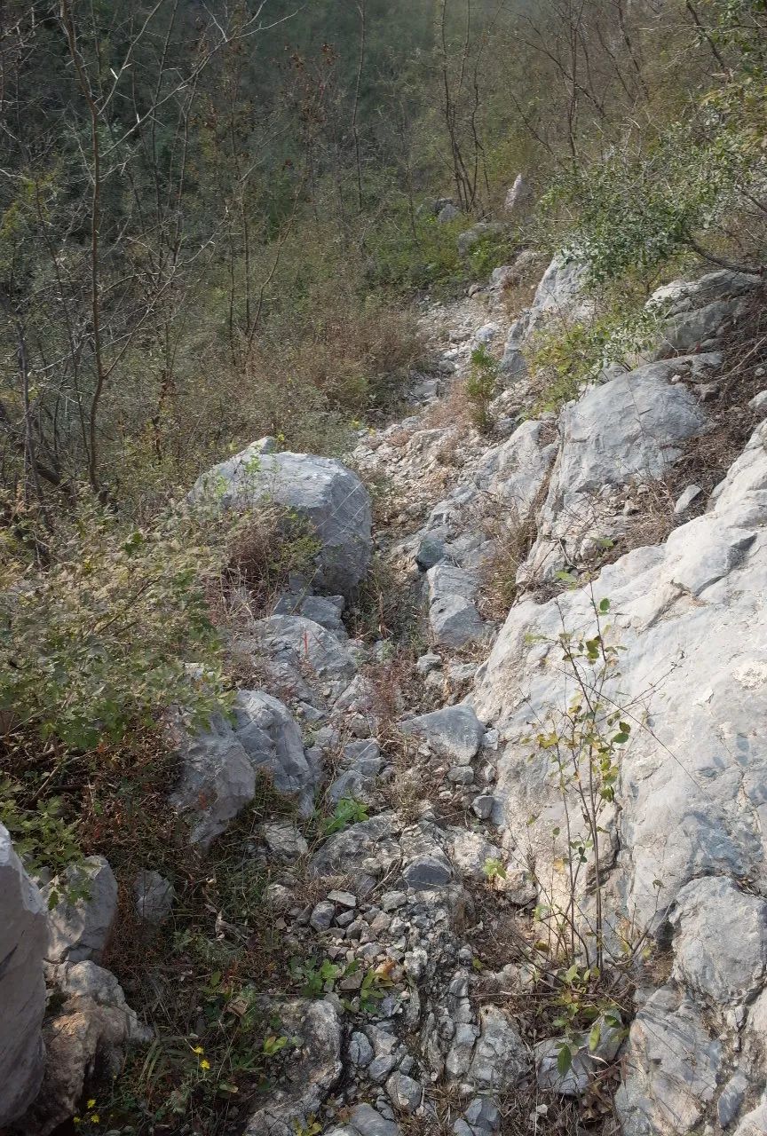 农村景观设计改造留住乡愁,乡村微景观改造设计图集