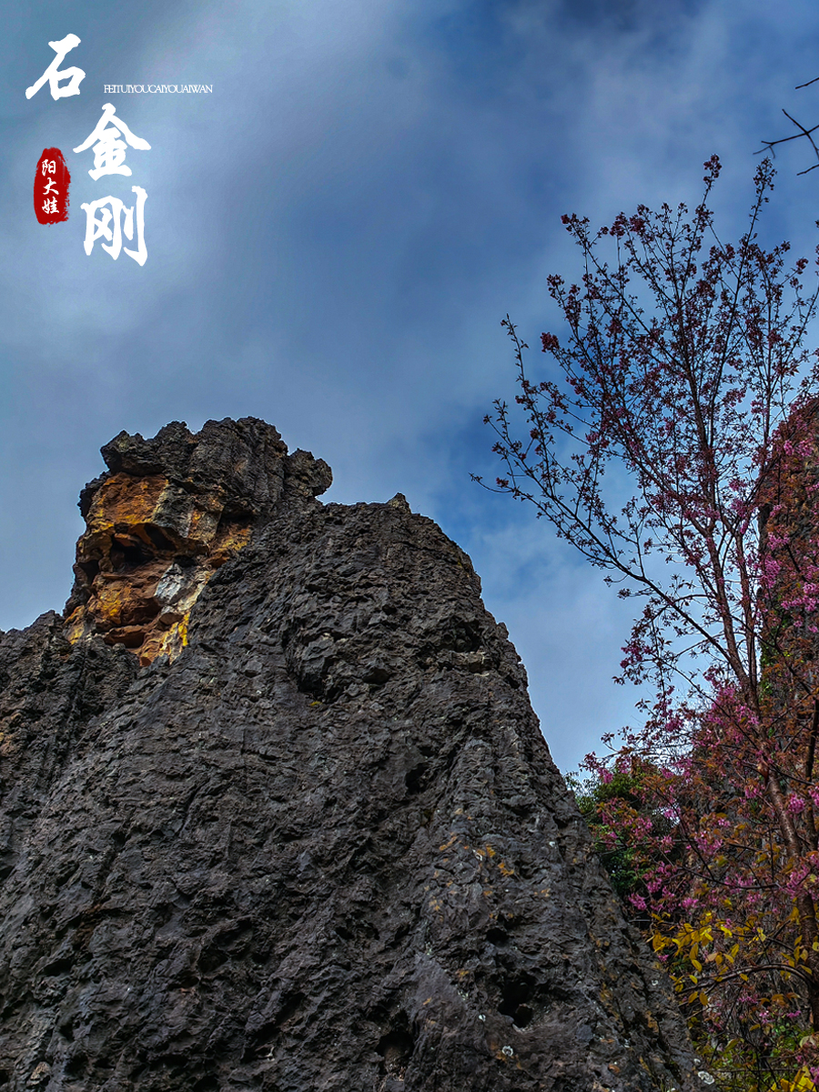 海口世纪公园游玩攻略一日游,昆明海口石城公园路线图