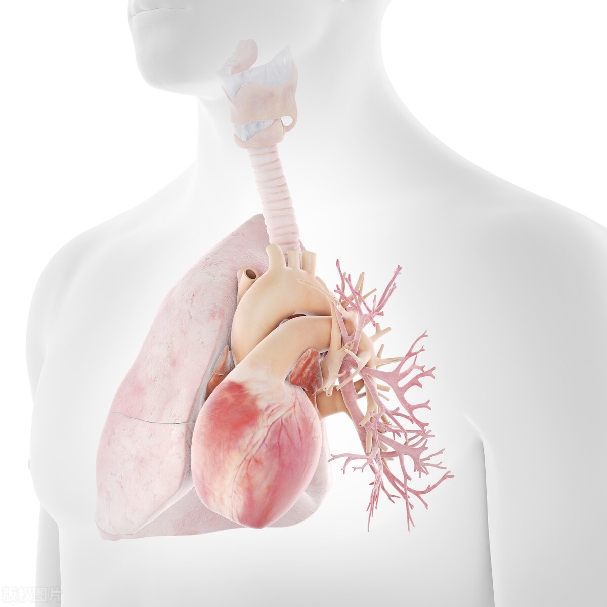 性猝死听说过吗？医生提醒：3种人群不建议“为爱啪啪”，危害大