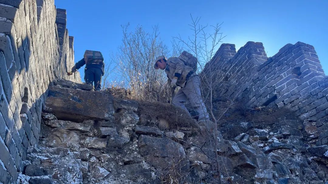 运料全靠骡驮人背！修缮长城到底多难，小编全程跟拍→