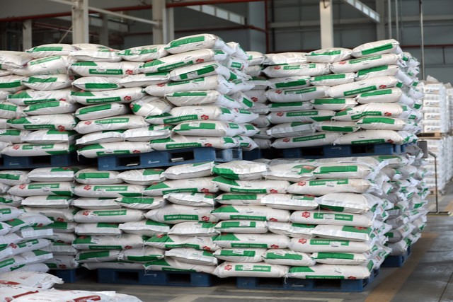 想在农村养殖没有本钱怎么办,2023年什么时候养猪能挣钱