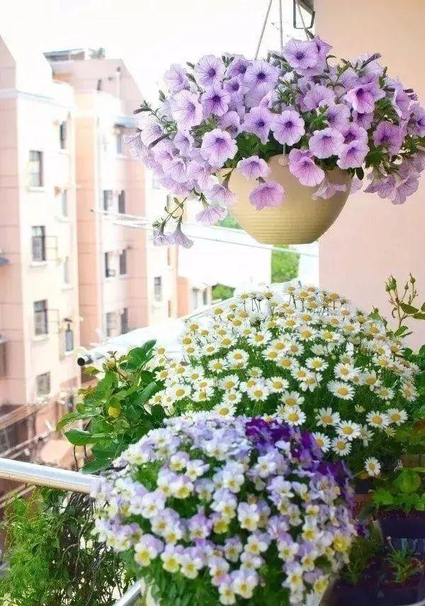 露天小阳台打造小花园效果图,卧室开放式小阳台怎么打造花园