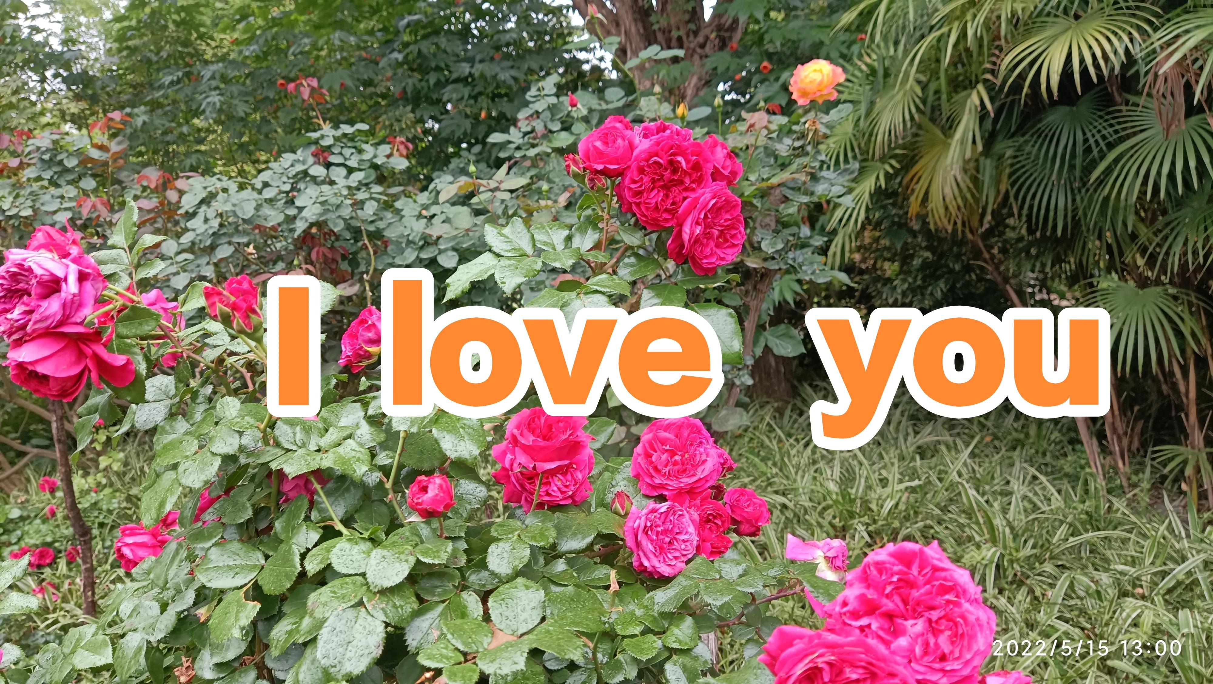 自己得了妇科炎症是老公出轨了吗,老婆有妇科炎症老公被传染了