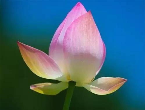 好运来临的十种征兆,好运来临时都有哪些征兆