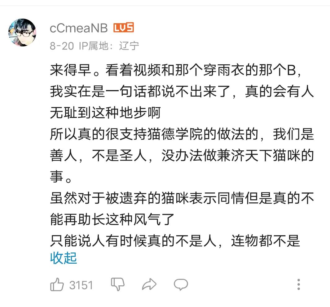 猫德学校为什么要抓猫,猫德学院三年绑架700多只流浪猫