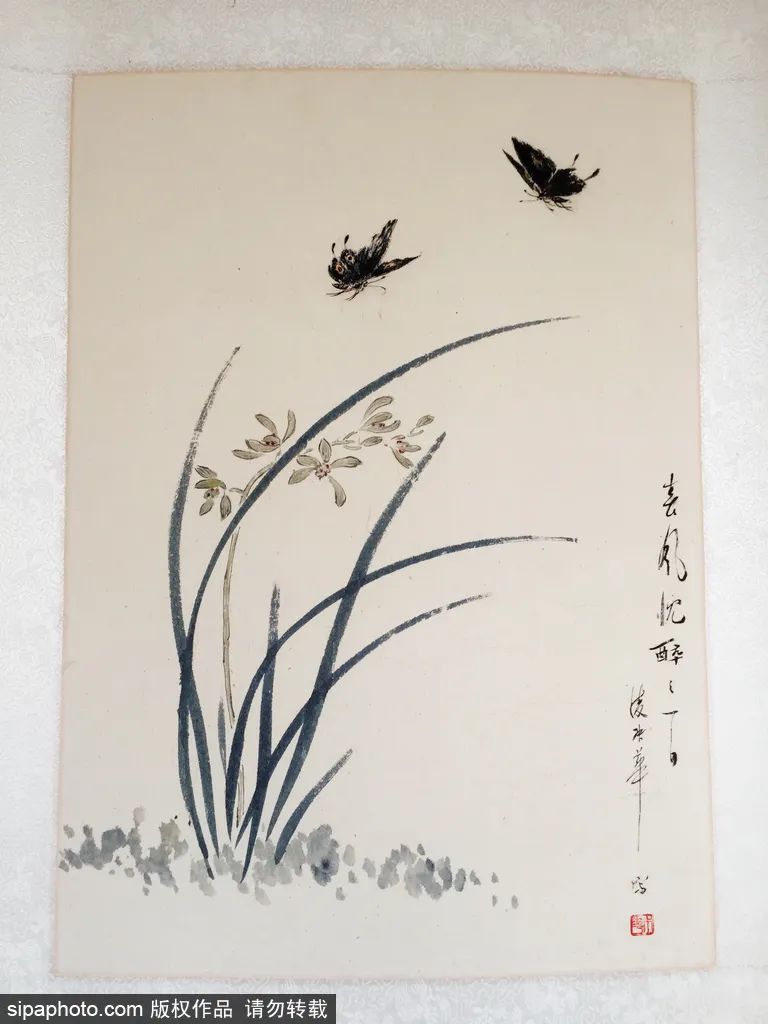 北京胡同游|探寻胡同之根，感受文艺浪漫，寻踪名人故居，尝鲜京味美食