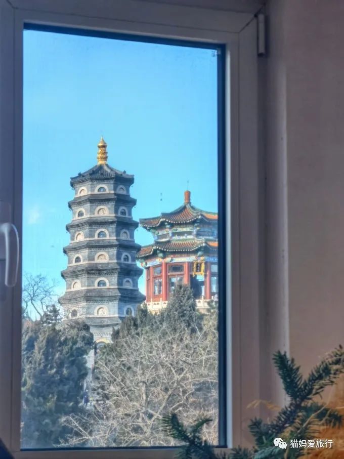 5天“趣”玩青岛，我的私藏遛娃路线