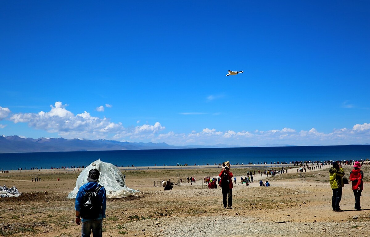 母女俩跟团去大西北旅游安全吗 (去西北旅游跟团危险吗)