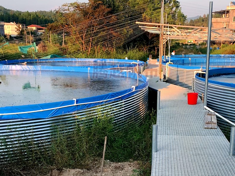 养殖甲鱼一般养在什么地方,甲鱼养殖最好的地方