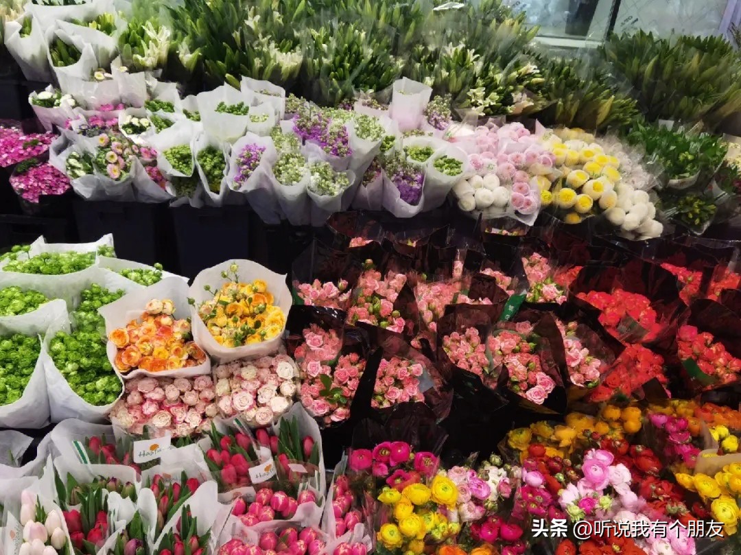 西安最好玩最大的花市,西安最美花市