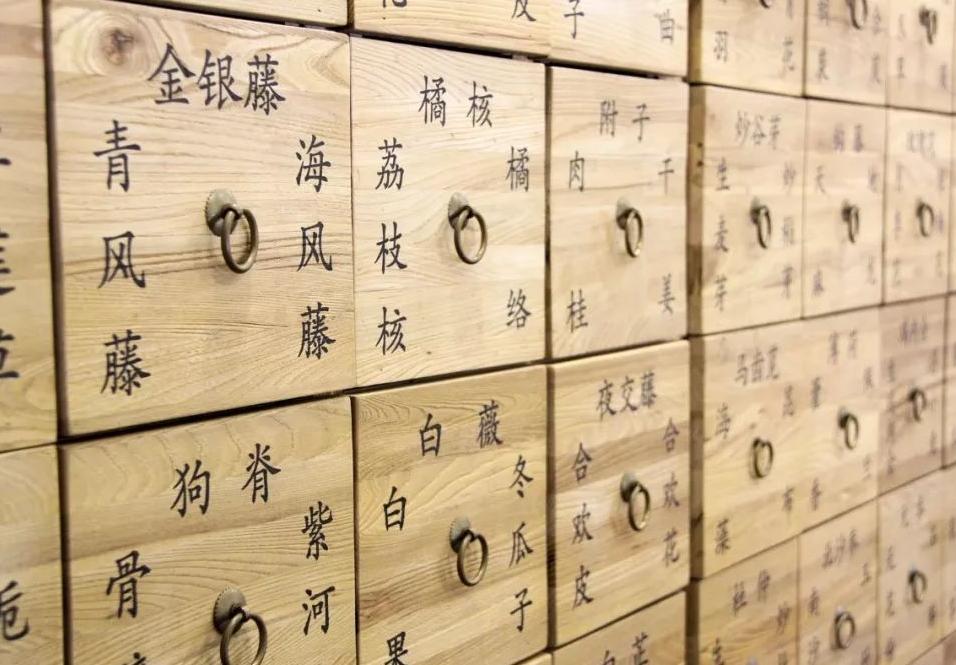 特发性膜性肾病治愈率有多高,特发性膜性肾病中医治疗指南