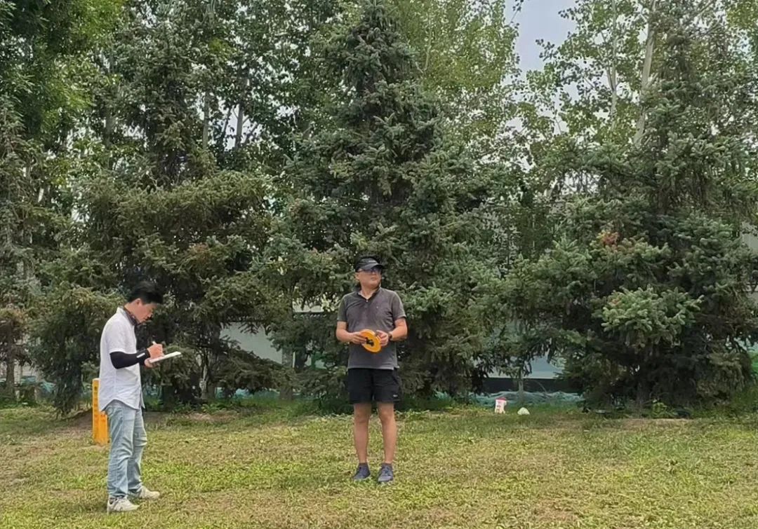 河北园林绿化设计比赛,河北省园林绿化竞赛