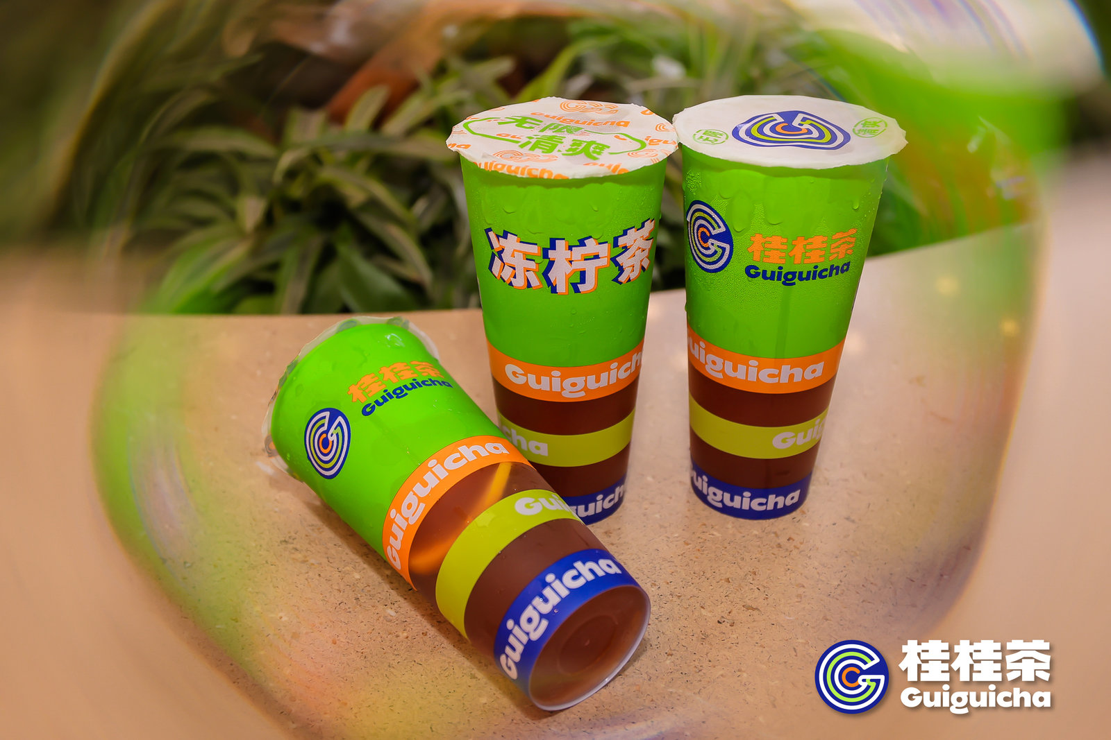 桂桂茶,桂桂茶加盟开店成本