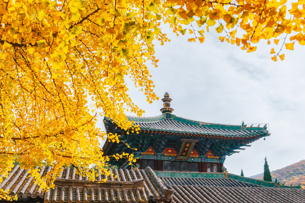 财务自由身体自由心灵自由,时间自由和财务自由是我终极追求