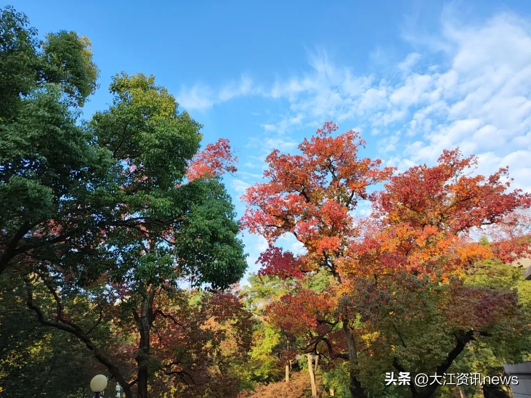 这场早餐会，展现了芜湖发展的底气