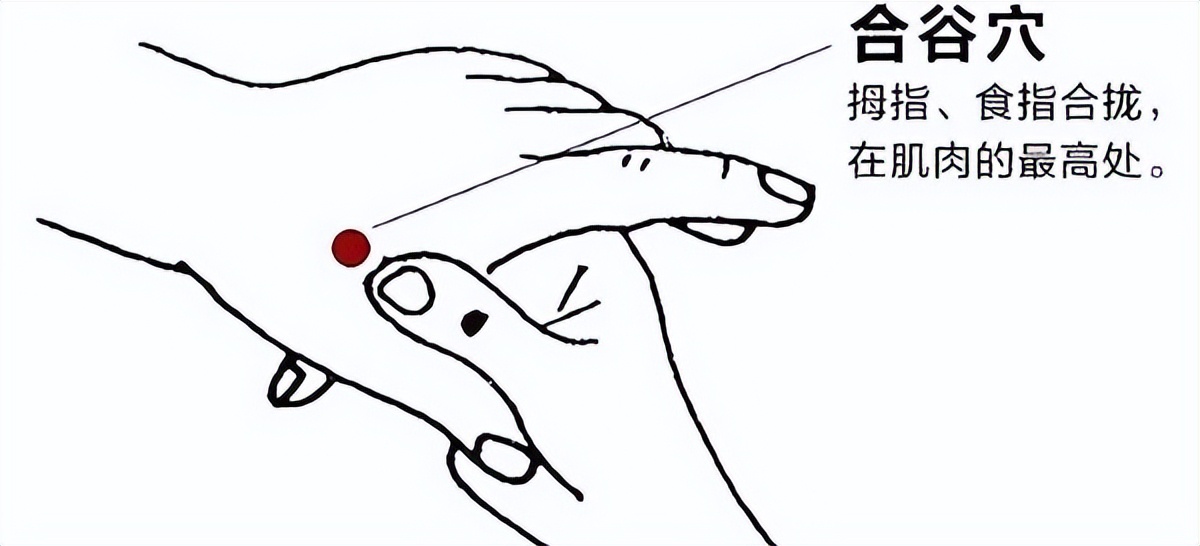 如何消食通便活用李氏武医宗方活血通络膏贴您也能成为中医高手