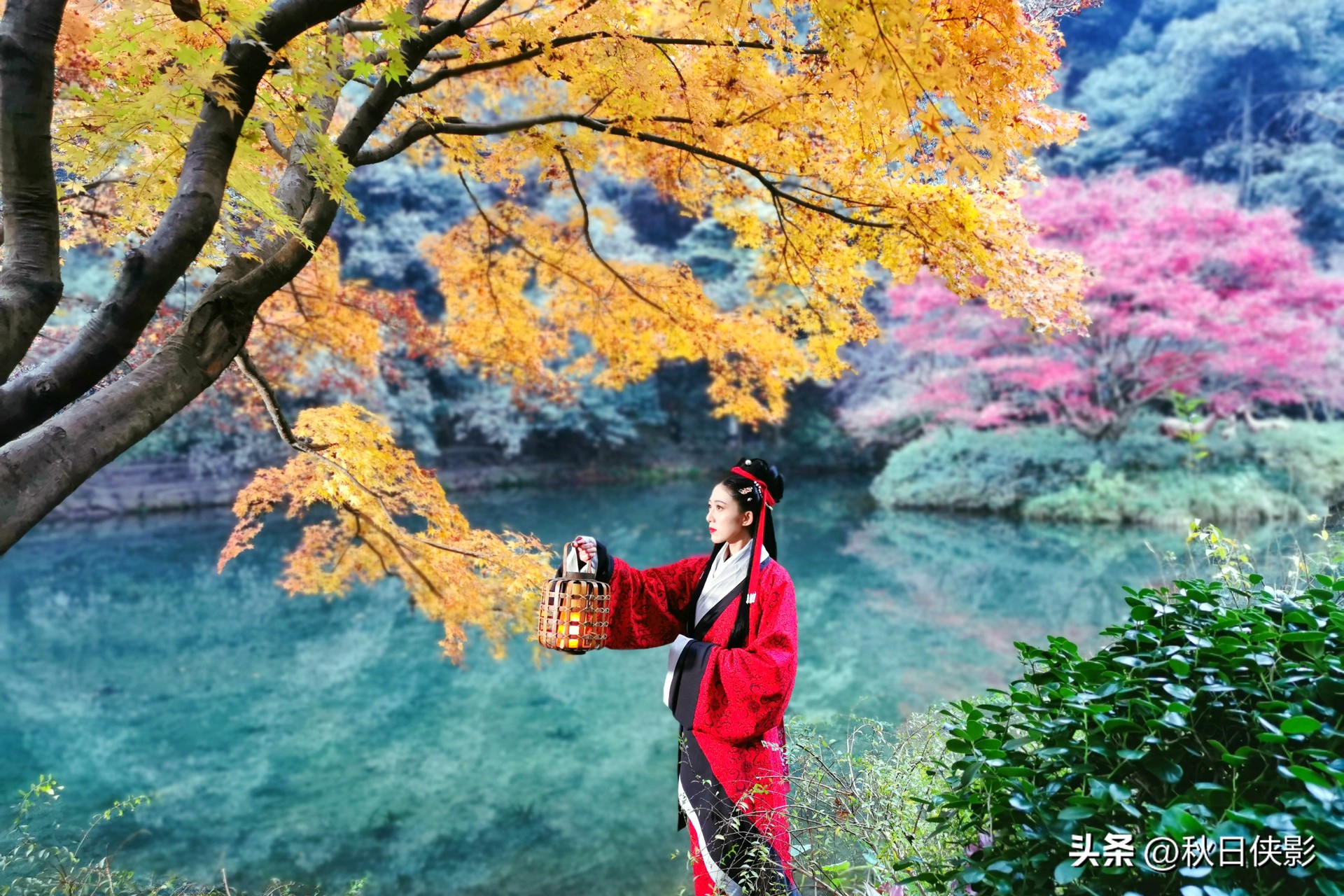 杭州秋天看枫叶最佳地点,杭州进入最佳赏枫季