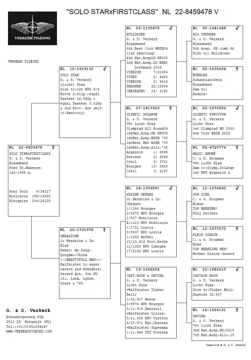 佛科克大名鸽,欧洲赛鸽重大赛事