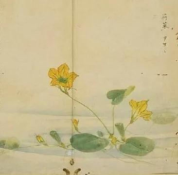 陈风月诗经原文,诗经陈风月出全文注音