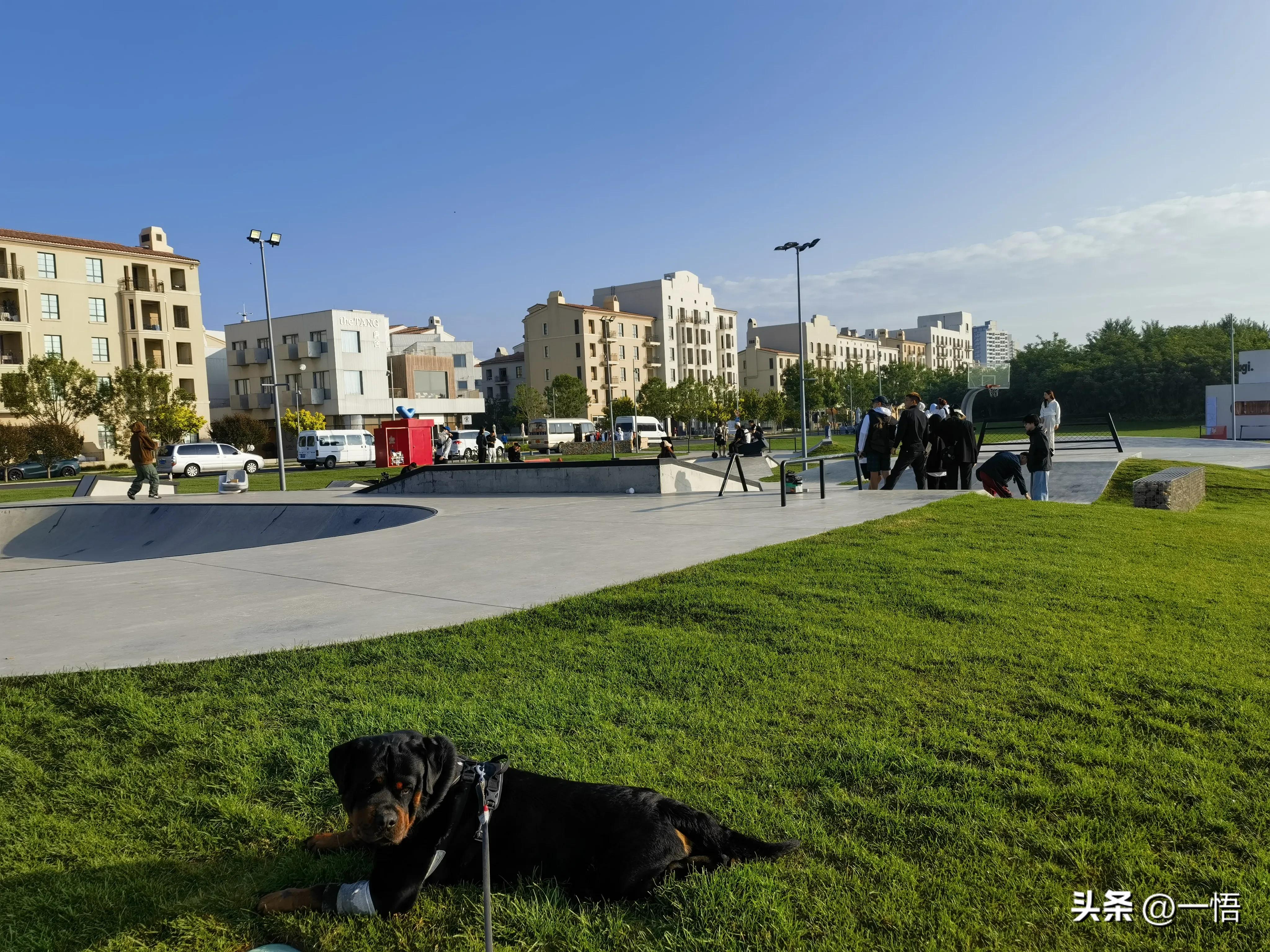 2023上海到秦皇岛承德十日游第四天：看阿那亚的海，逢犬舍的安娜