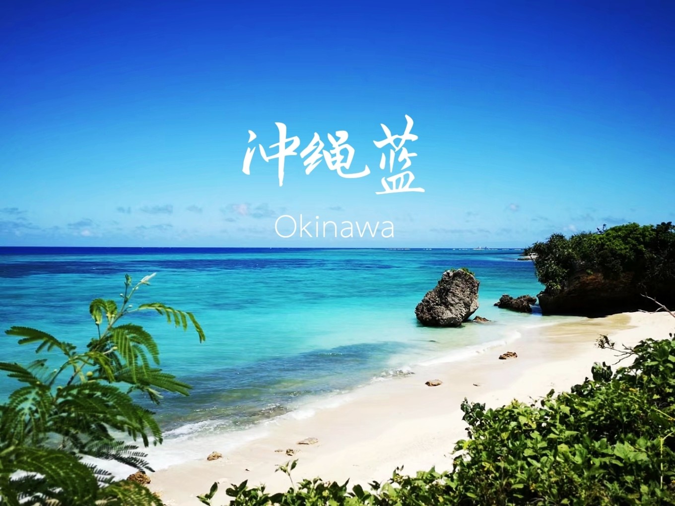 暑期档2019年,2019年暑期档