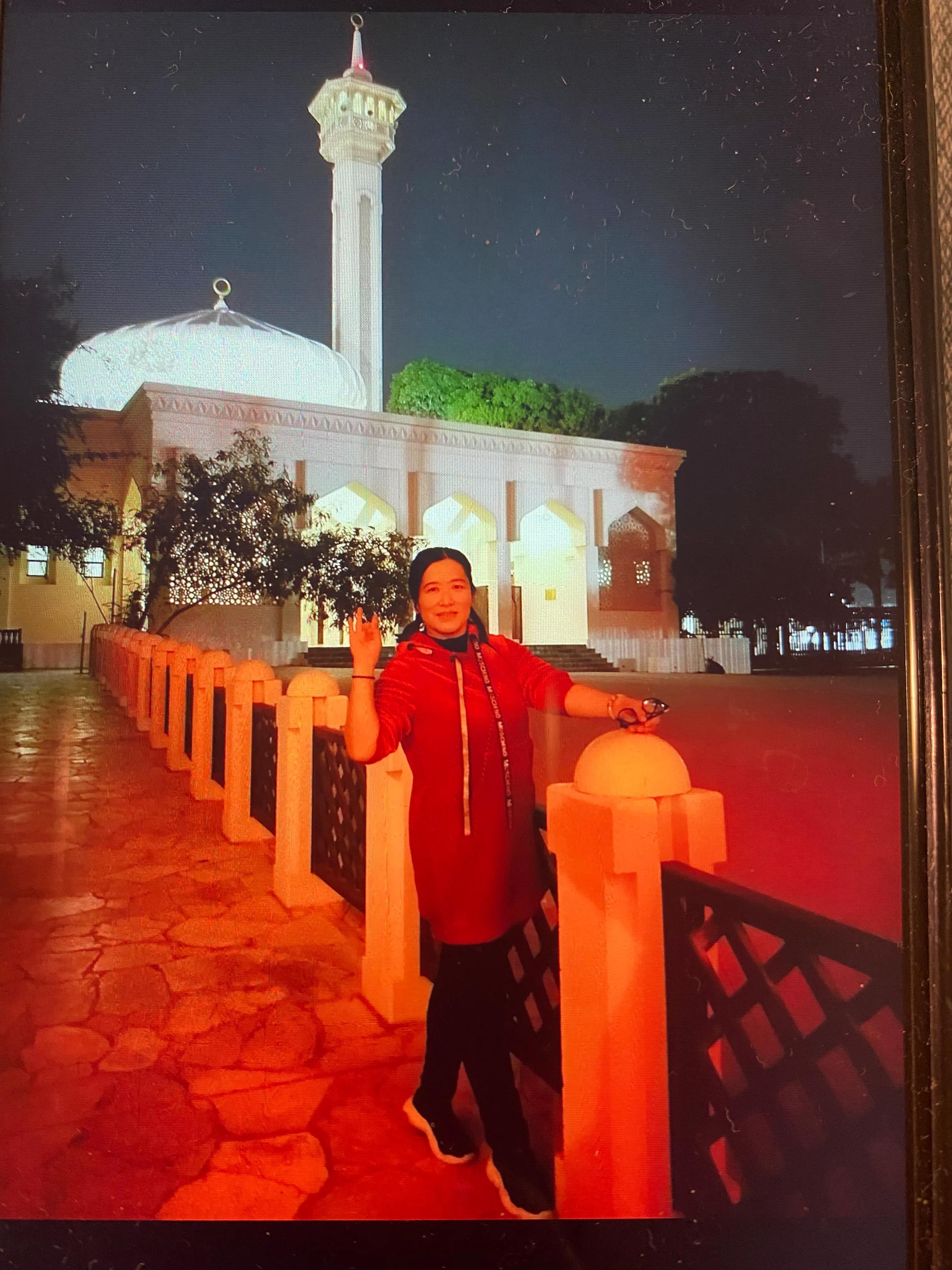 沙漠中的绿洲迪拜介绍,迪拜沙漠绿洲地址