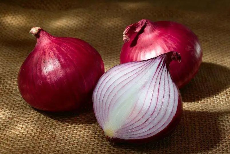 浙江人常吃的蔬菜有哪些,幼儿园常吃的蔬菜有哪些