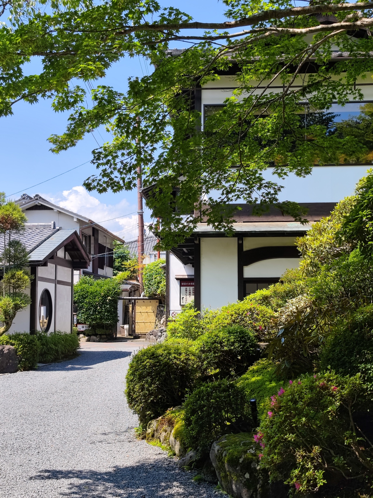 京都旅游住宿排行榜,京都人的私房雅趣全集