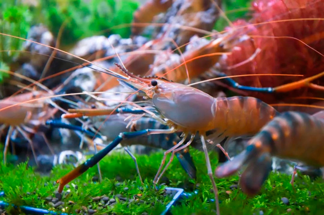 为肇庆高质量发展做出自己努力,奋力推进肇庆改革发展新跨越