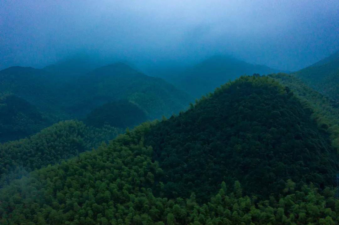 莫干山最美民宿20个推荐,莫干山民宿隐凡尘度假