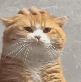 女朋友发来照片说刚运动完什么梗,女朋友发照片说刚运动完