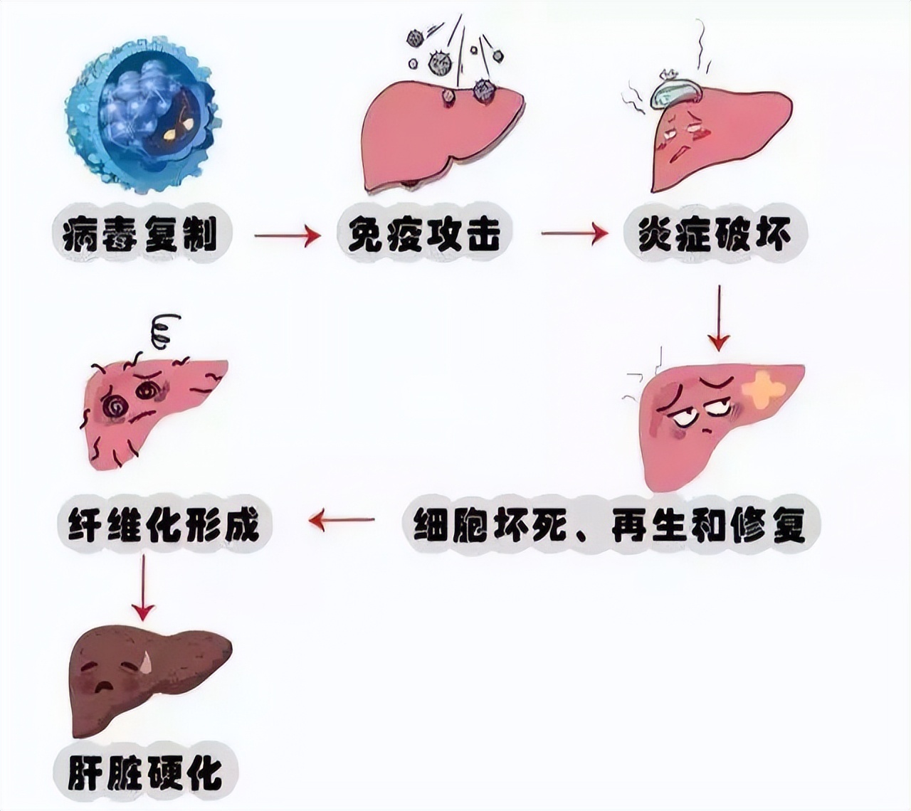 护肝健康你我同行,全国爱肝日健康知识讲座