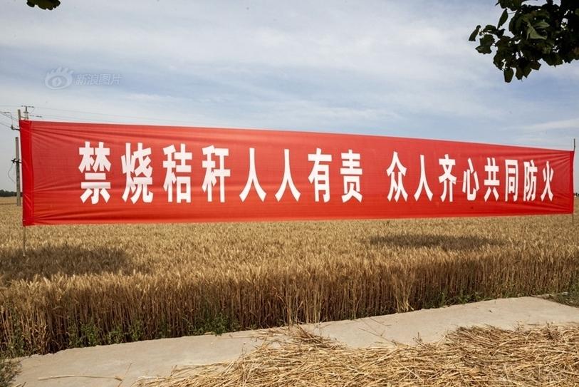 中国为什么不能烧秸秆,中国为什么可以烧柴