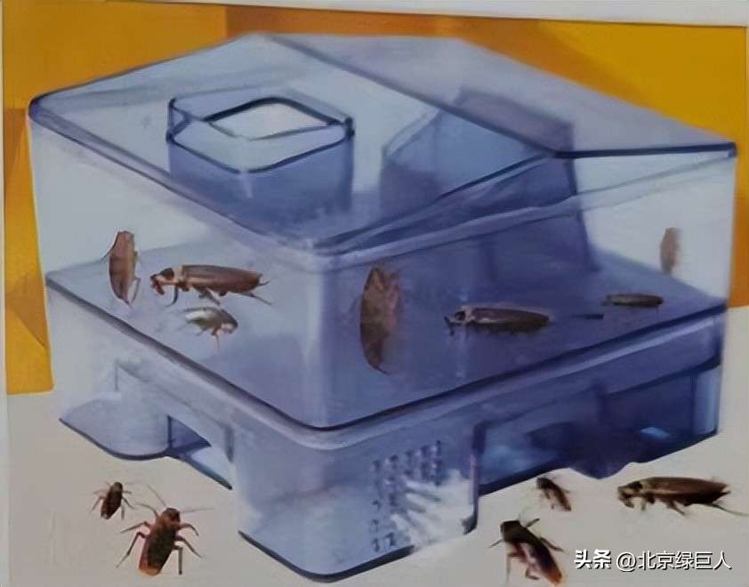 曾黎抖音完整视频,尊龙电影完整视频