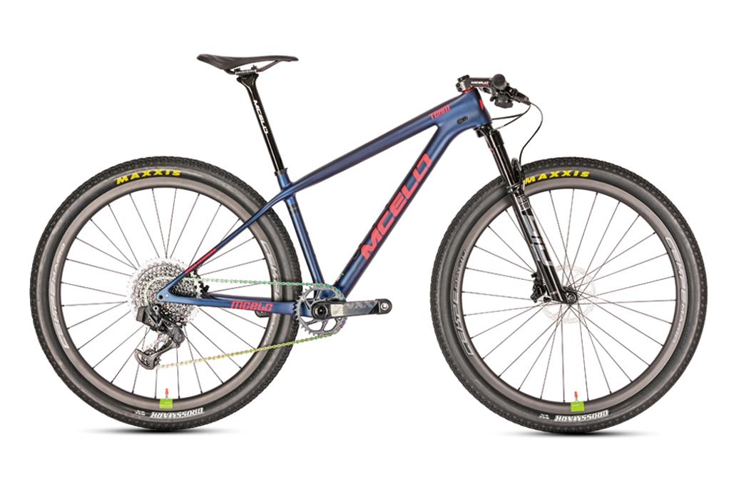 购买什么品牌电动自行车好,自行车购买渠道哪个好