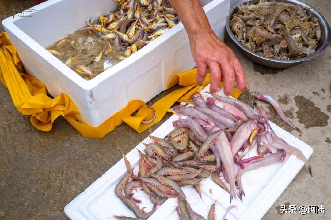 <html>
<head><title>502BadGateway</title></head>
<body>
<center><h1>502BadGateway</h1></center>
<hr><center>nginx</center>
</body>
</html>
<!--apaddingtodisableMSIEandChromefriendlyerrorpage-->
<!--apaddingtodisableMSIEandChromefriendlyerrorpage-->
<!--apaddingtodisableMSIEandChromefriendlyerrorpage-->
<!--apaddingtodisableMSIEandChromefriendlyerrorpage-->
<!--apaddingtodisableMSIEandChromefriendlyerrorpage-->
<!--apaddingtodisableMSIEandChromefriendlyerrorpage-->
