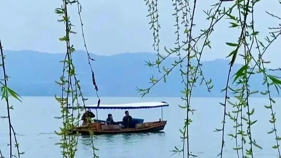 飘落的花瓣是凋零的思念,凋零的花瓣简单手工幼儿