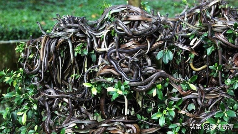 五个必去的神秘之地,不允许旅游参观的世界神秘禁区