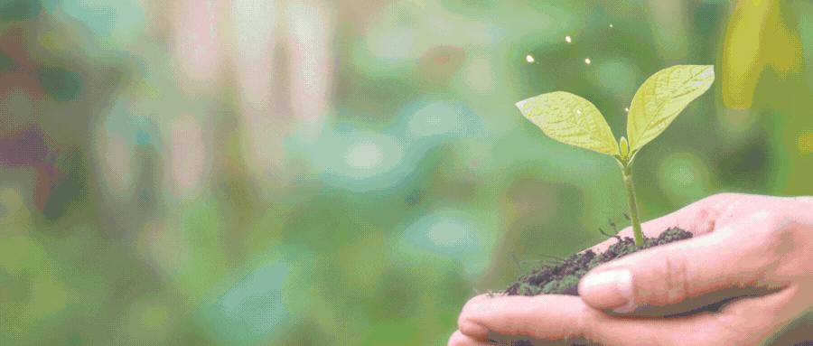 传统零售行业未来发展与策略,中国零售市场发展历程和未来展望