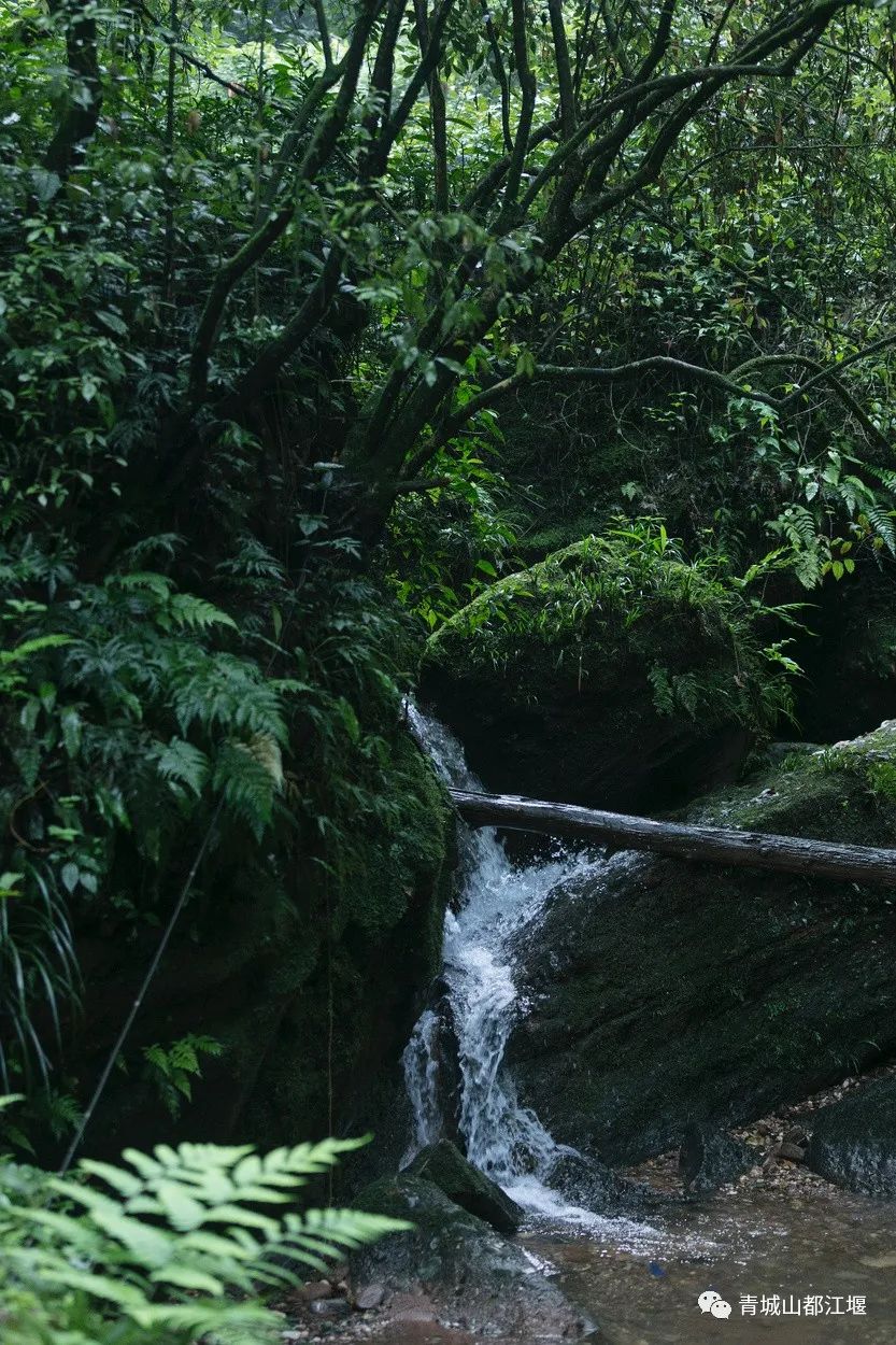 都江堰小众人少的地方,都江堰小众秋天打卡地