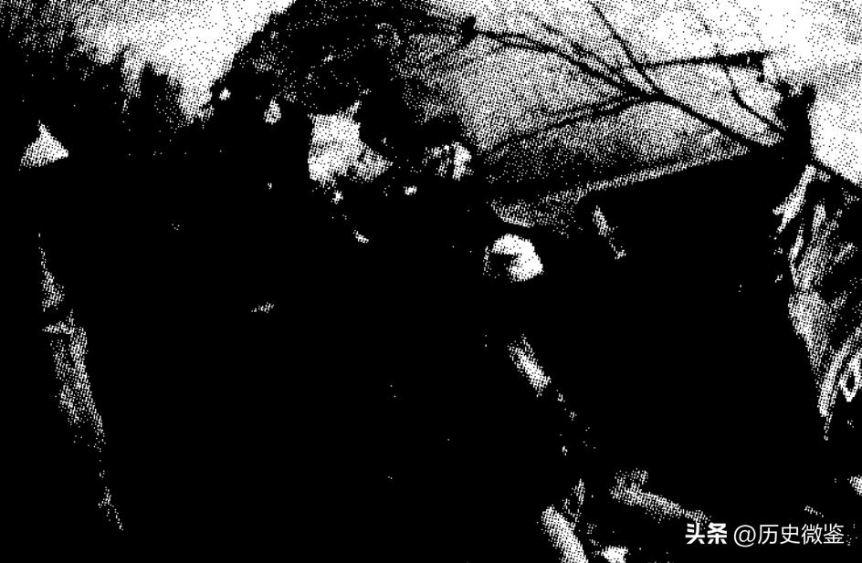 46年叶挺飞机遇难，周恩来坚信是被害，50多年后叶挺之子发文质疑